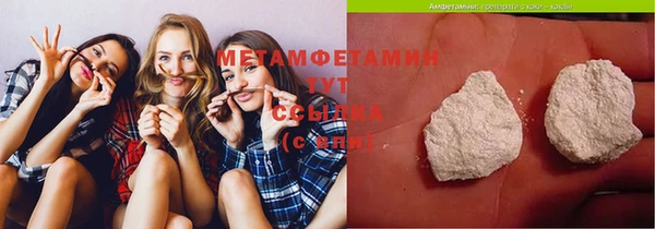 прущие грибы Абаза