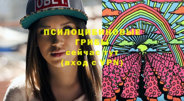 спайс Алексин