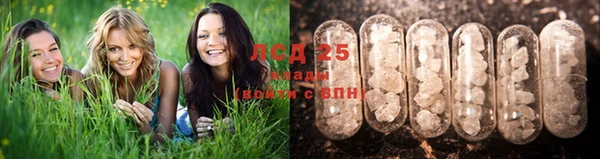 спайс Алексин